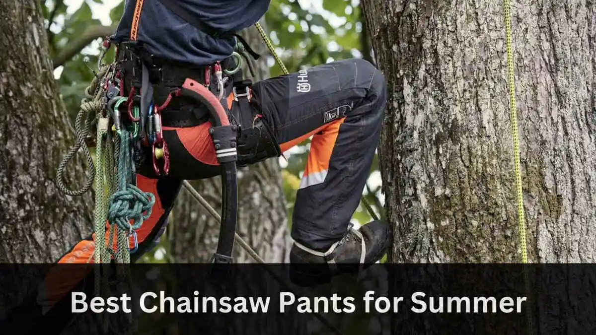 Best Chainsaw Pants For Summe.webp